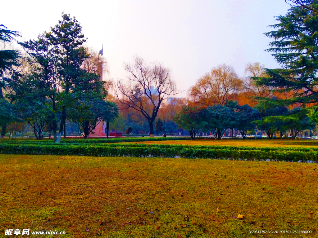 深秋时节的校园风景