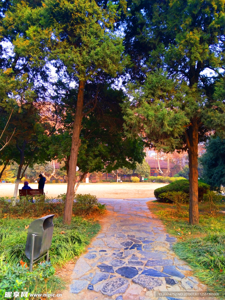 美丽的校园风景