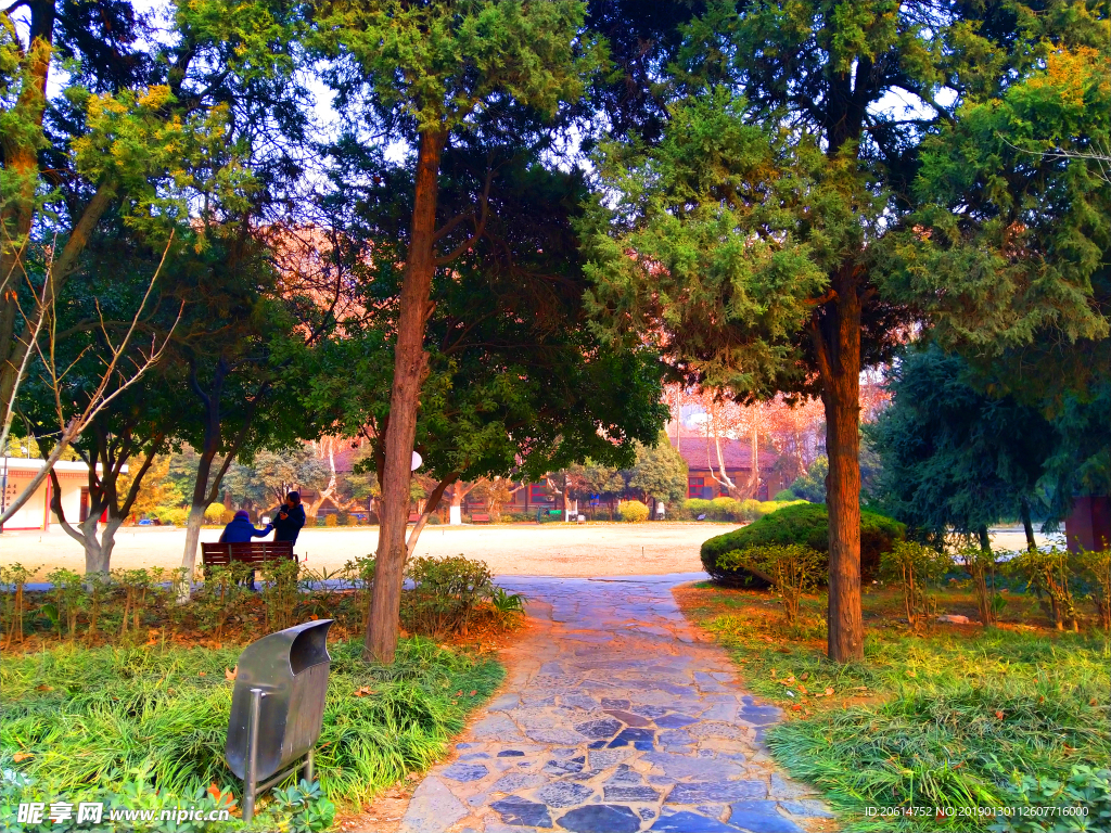 美丽的校园风景