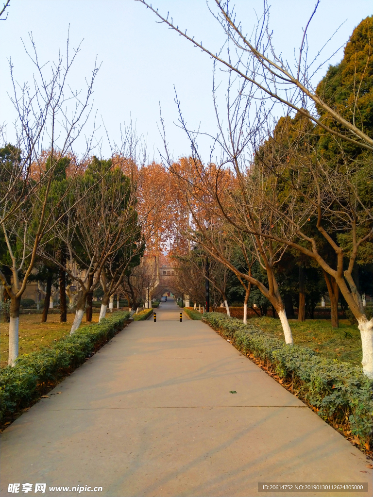 美丽的校园风景