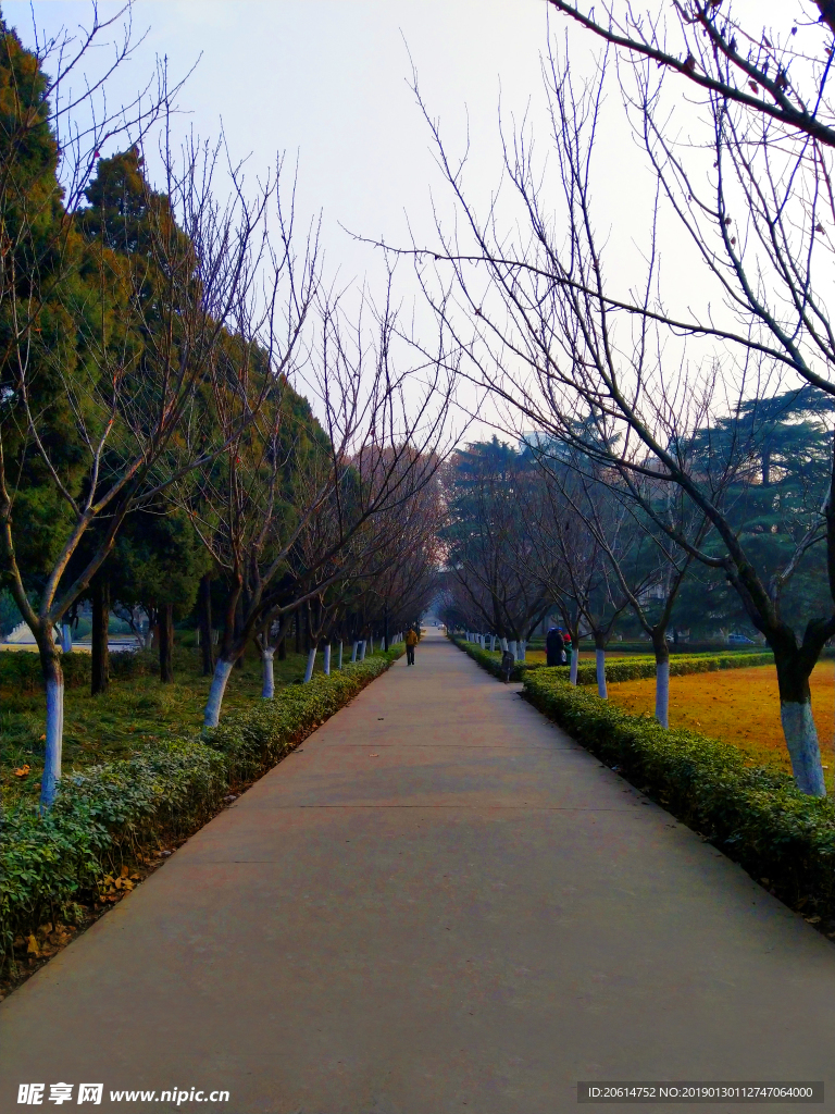美丽的校园风景