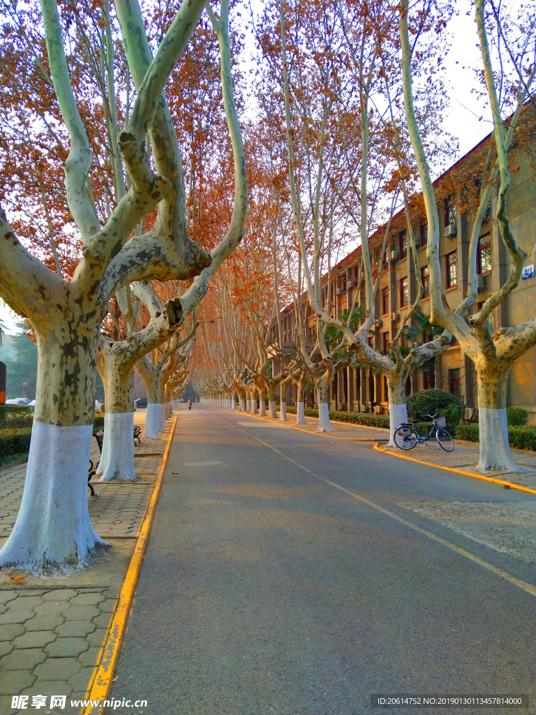 美丽的大学校园风景