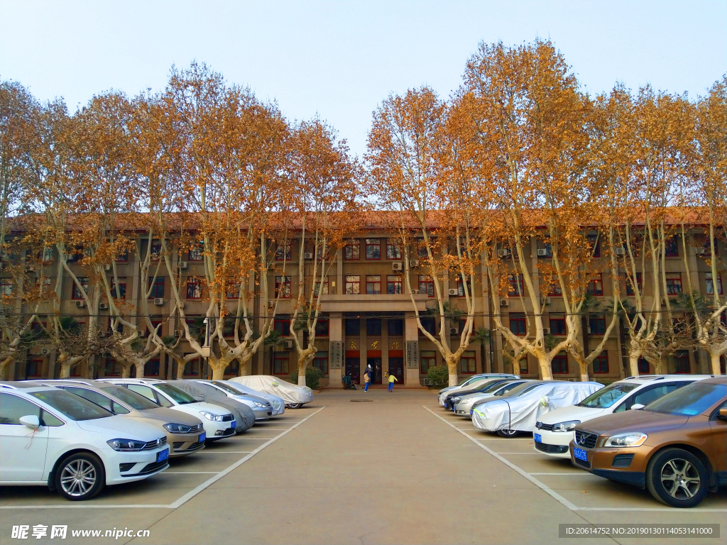 美丽的西安交通大学校园风景