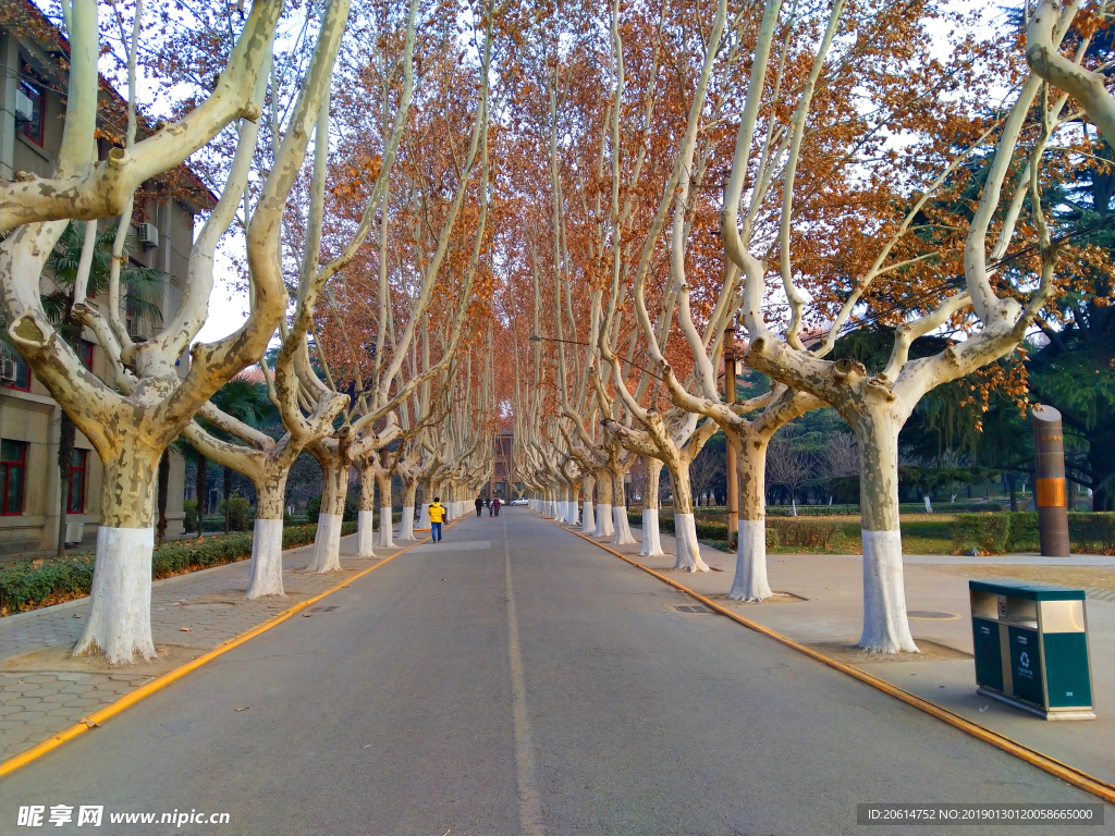 美丽的校园风景