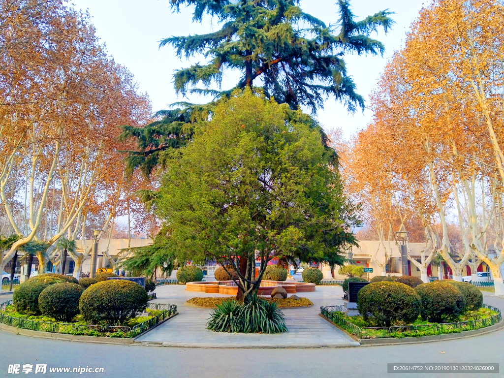 美丽的大学校园风景