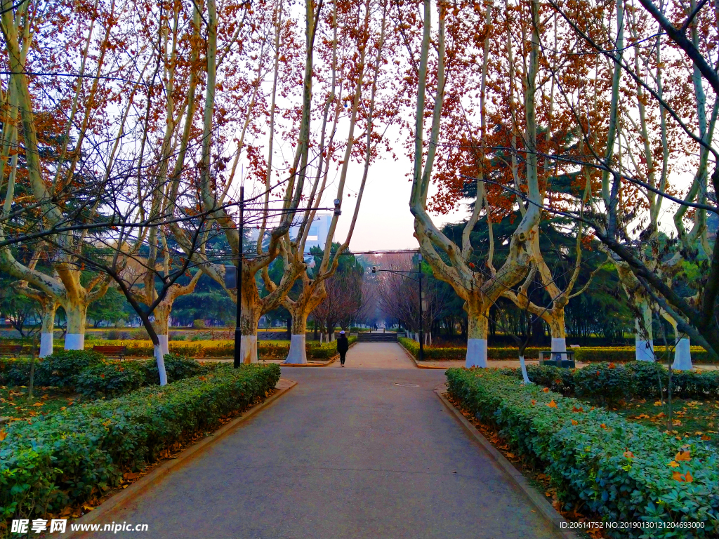 美丽的校园风景