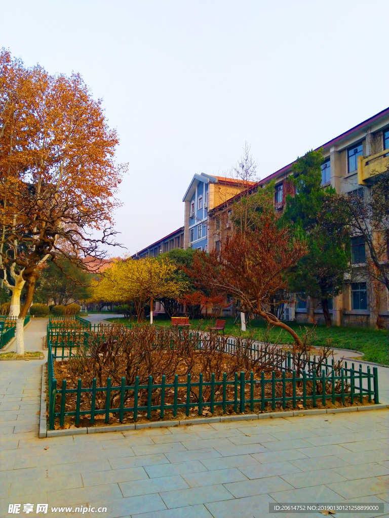 美丽的校园风景