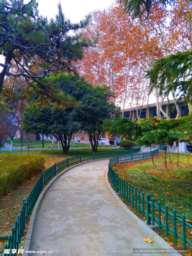 美丽的大学校园