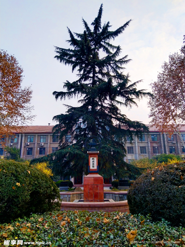 美丽的大学风景