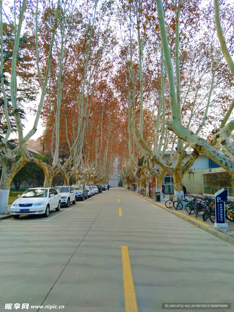 美丽的校园风景