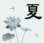 夏秋季荷花