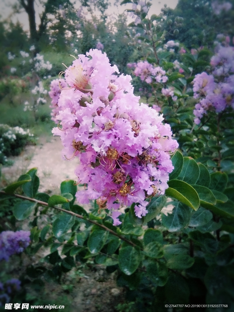 花
