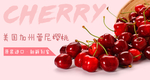 加州车厘子樱桃banner