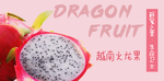 火龙果banner