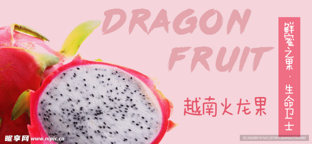 火龙果banner