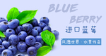 蓝莓banner