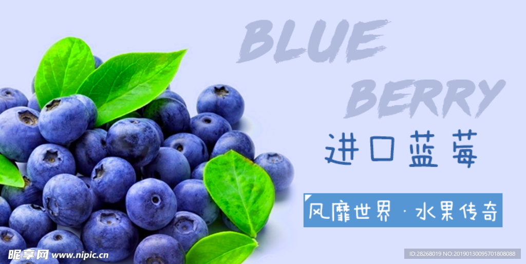 蓝莓banner