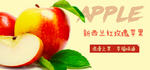 新西兰苹果banner