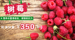树莓banner