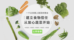 蔬菜素食banner