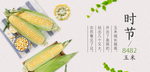 玉米杂粮banner