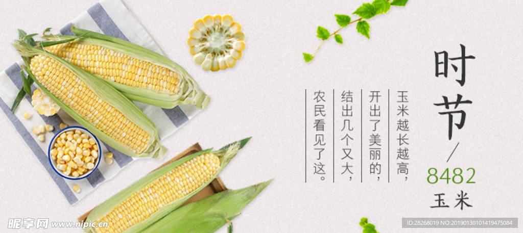 玉米杂粮banner