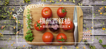 西红柿banner