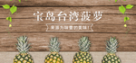 菠萝凤梨banner