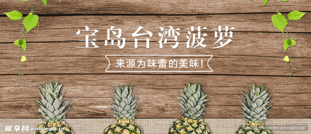 菠萝凤梨banner