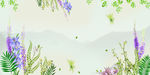 banner 背景