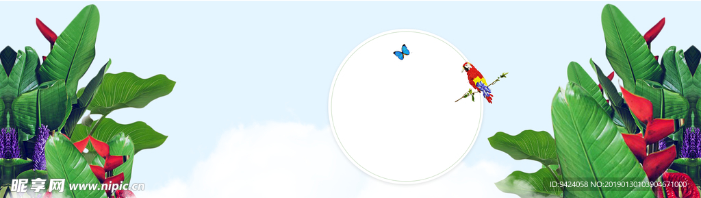 banner 背景