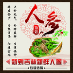 人参海报