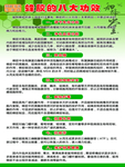 知蜂堂