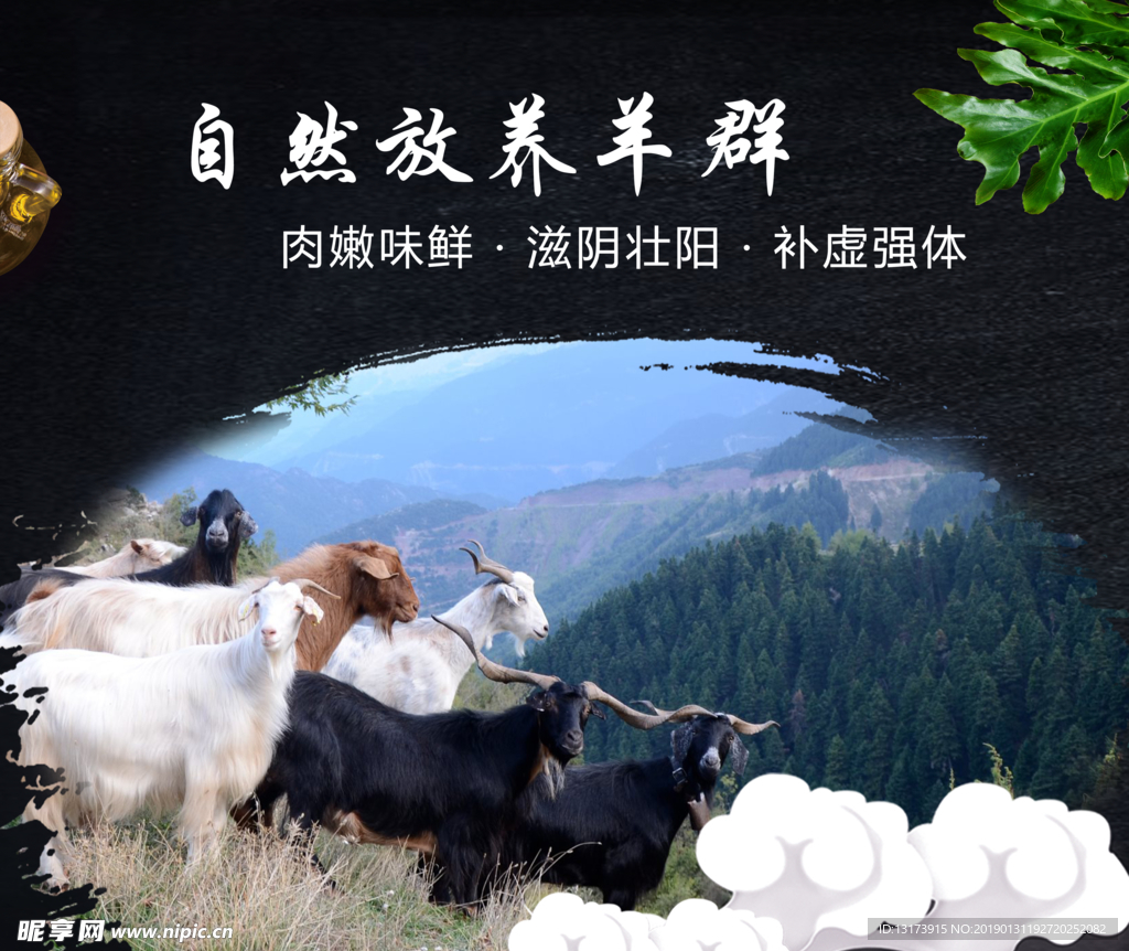 自然放养羊群山羊