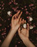 鲜花浴