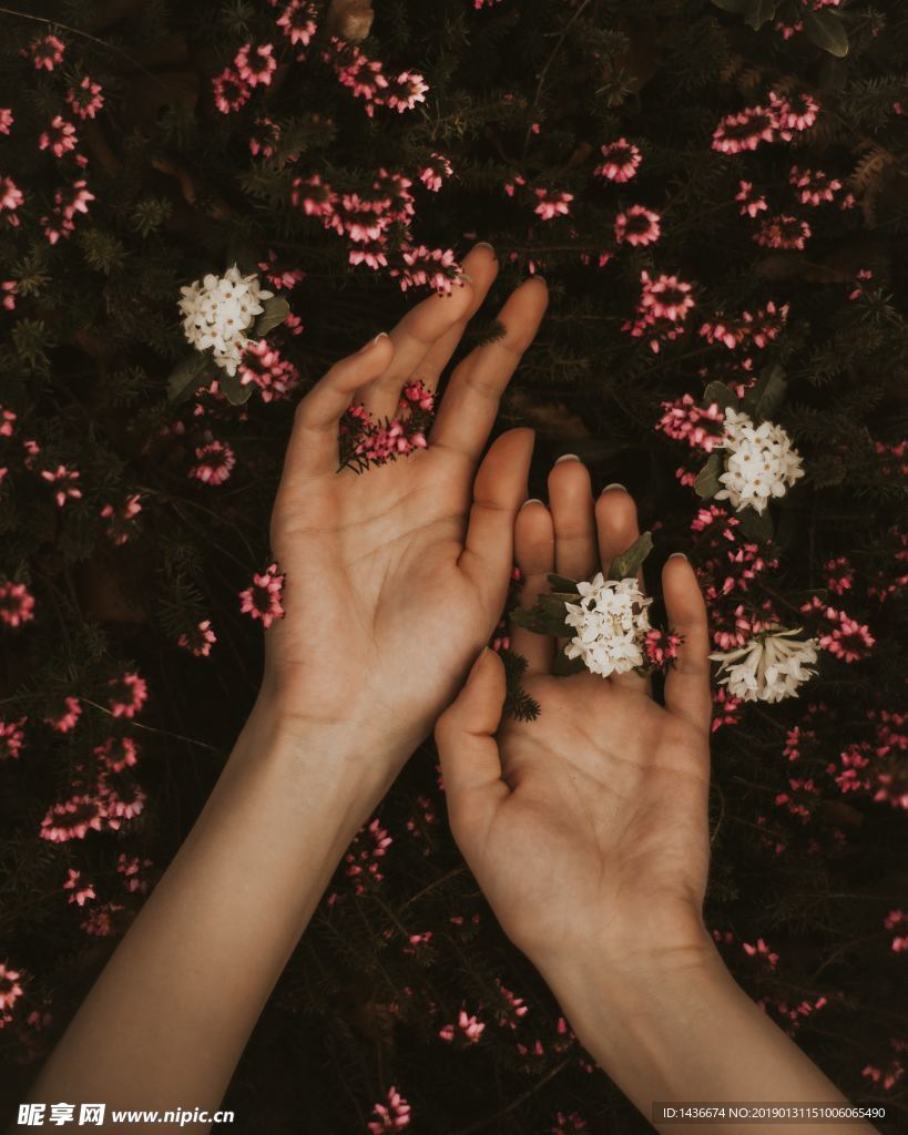 鲜花浴