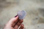 手拿贝壳