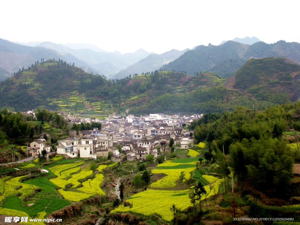 安徽 古徽州 油菜 旅行 旅游