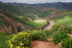 玉树 黄河 自然 山水 风光