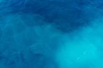 海面