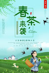 春茶