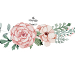 鲜花插画