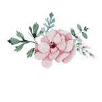 鲜花插画