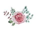 鲜花插画