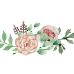 鲜花插画