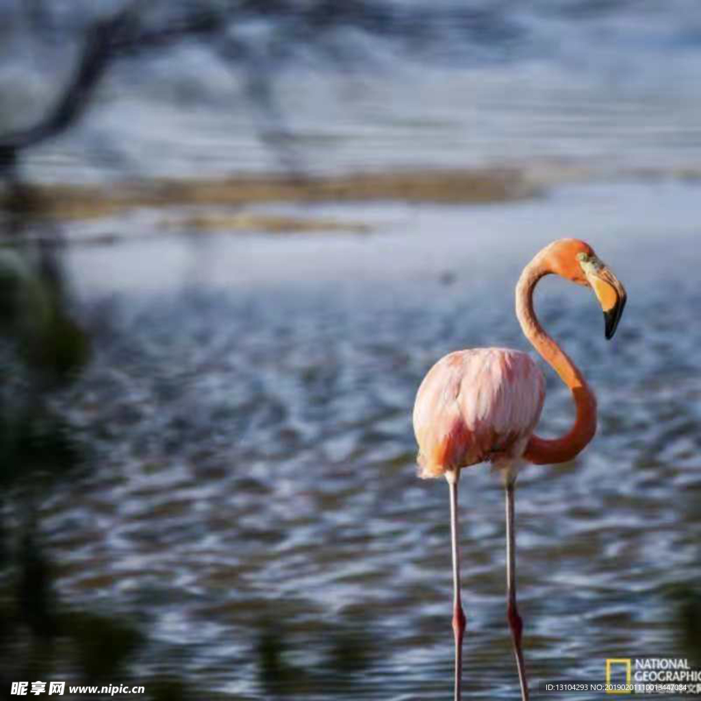 湖边休憩