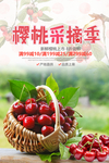 樱桃采摘海报设计