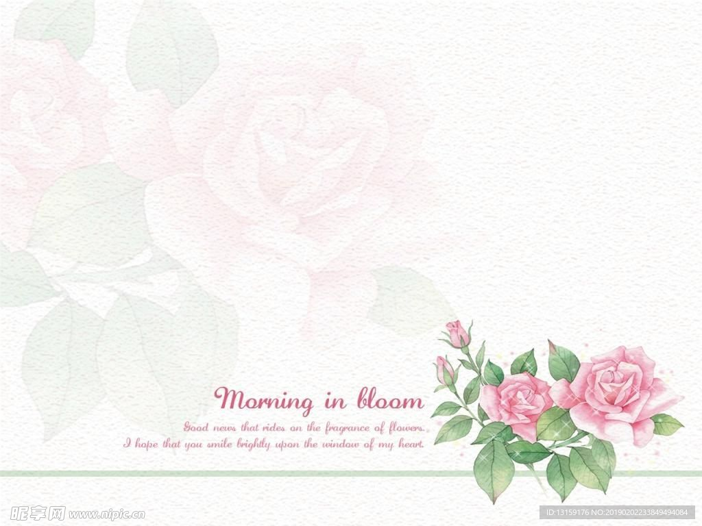 恬静的花朵背景素材