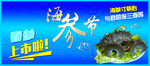 海参节