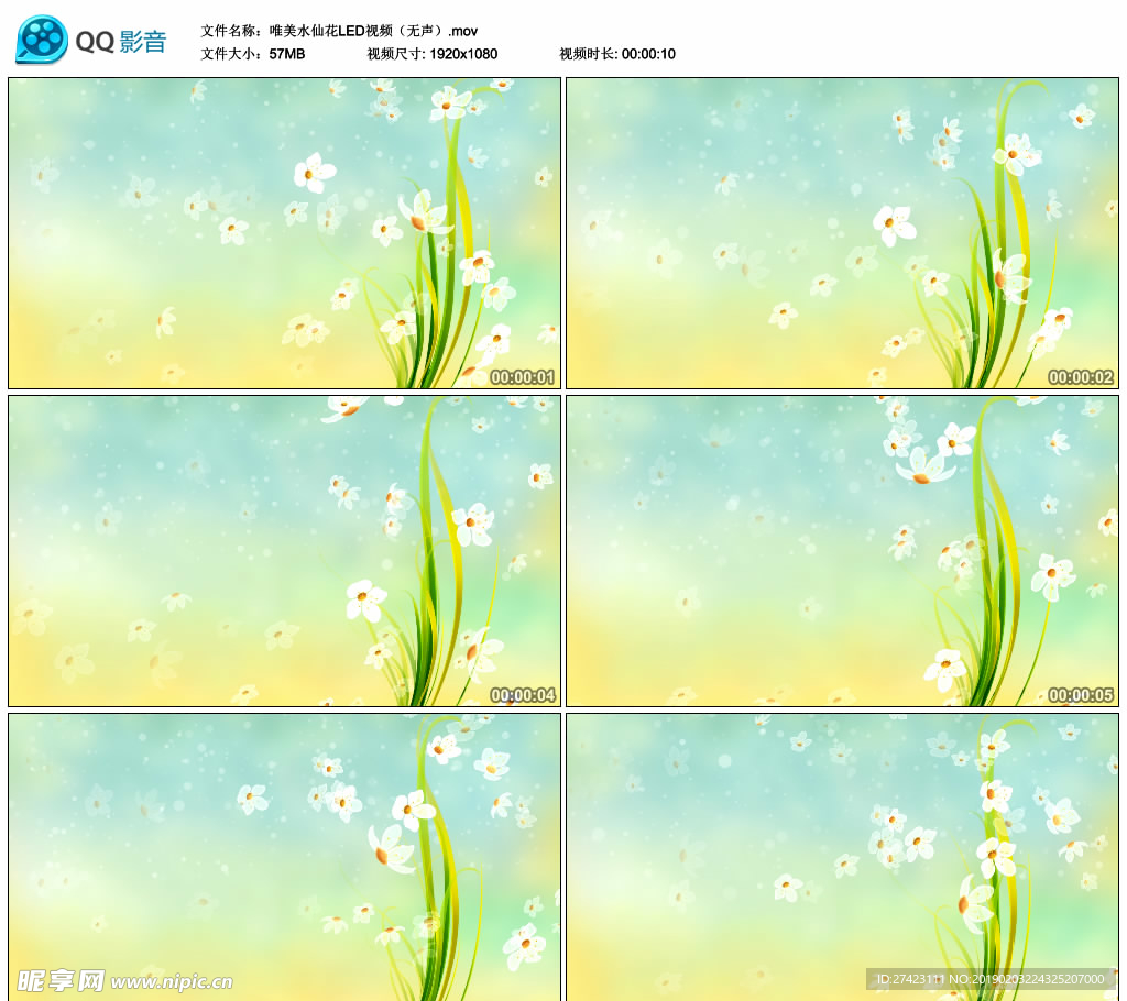 唯美水仙花 舞台大屏幕背景视频